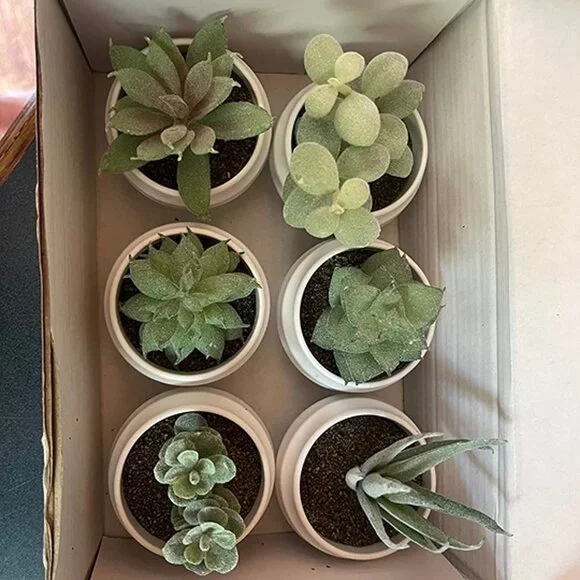 NEW Set of 6 Succulents Plants Artificial in Pots Small Fake Plants. - Picture 2 of 9